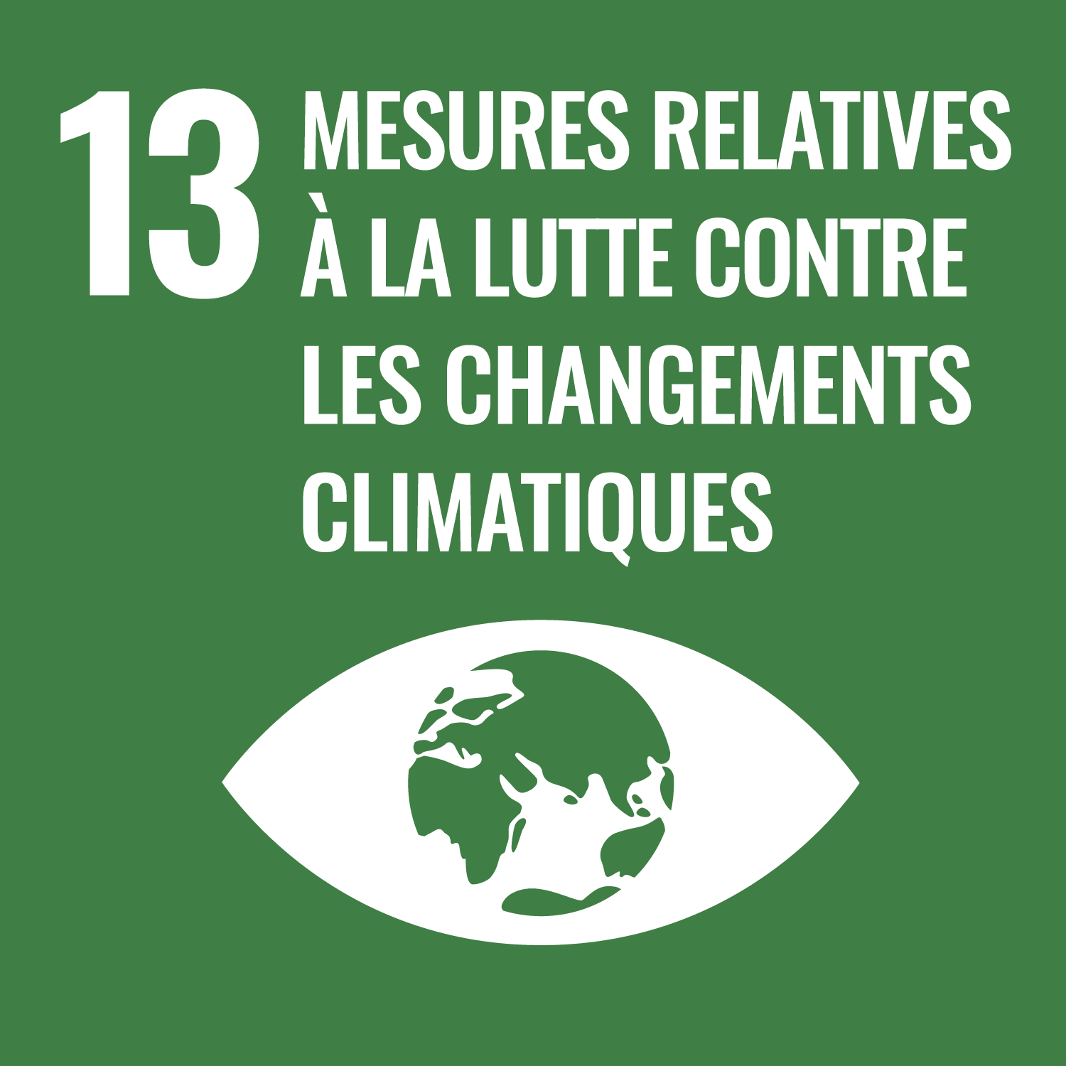 Icône représentant un oeil ayant comme pupille la planette terre